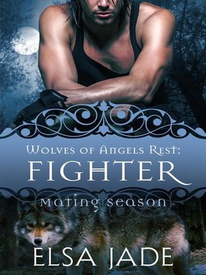 cover image of Fighter